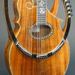 harp guitar 24 strings