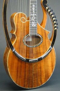 harp guitar 24 strings