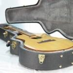 A Worland Guitar in its hard shell case