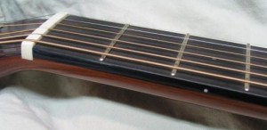 Ebony fingerboard with white side dots and bone nut