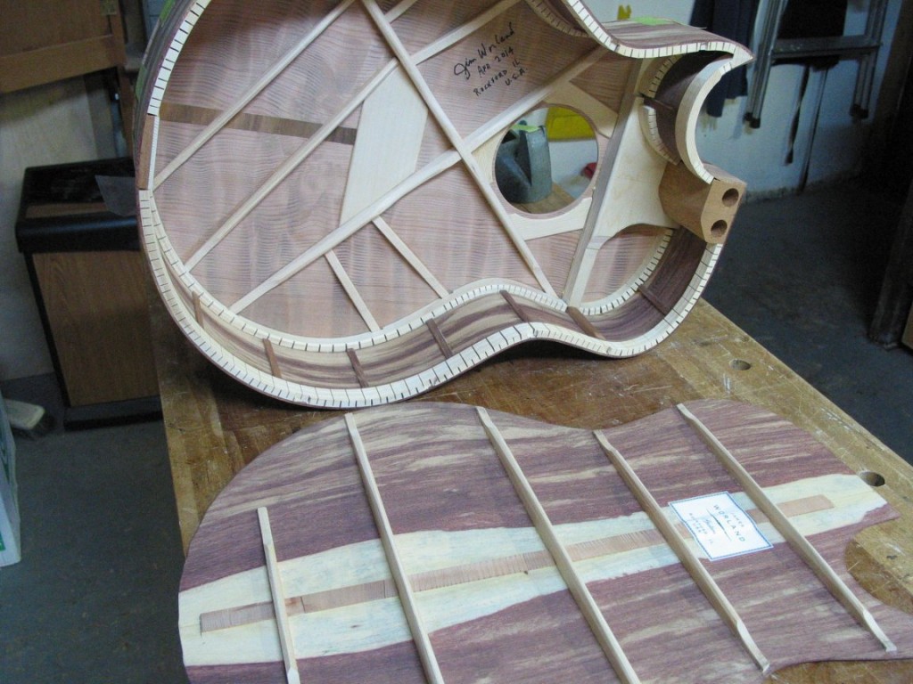 Interior guitar bracing